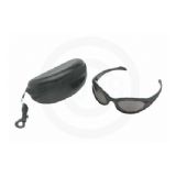 Parts Unlimited Helmet & Apparel(2012). Eyewear. Sunglasses